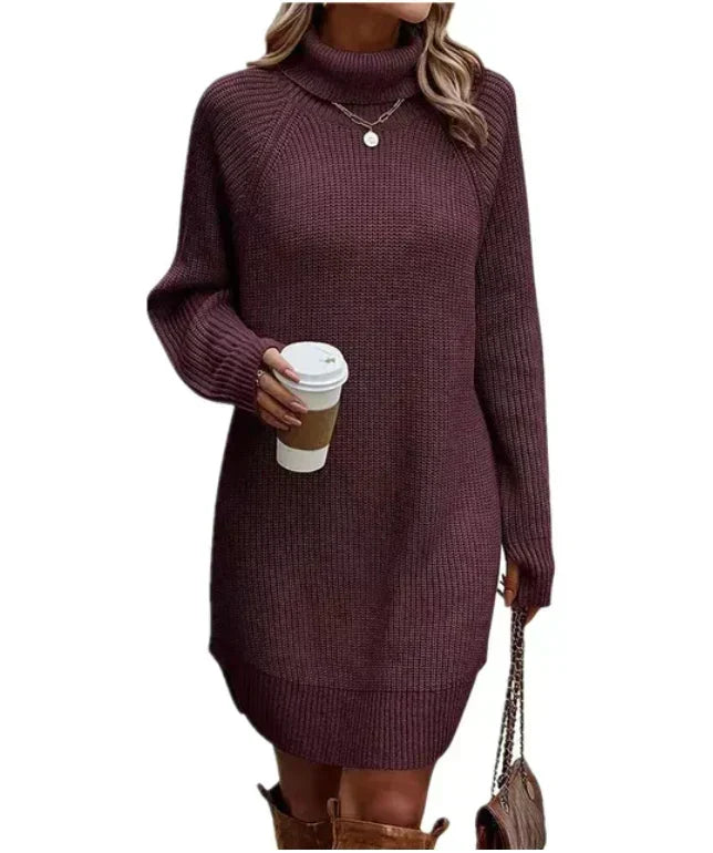 Elodie | Autumnal Knit Dress with Roll Neck