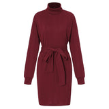 Olive | Elegant Bodycon Turtleneck Dress