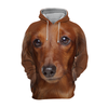 Unisex 3D Graphic Hoodies Animals Dogs Dachshund Sausage Dog Brown - Threadford
