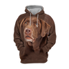 Unisex 3D Graphic Hoodies Animals Dogs Labrador Chocolate - Threadford