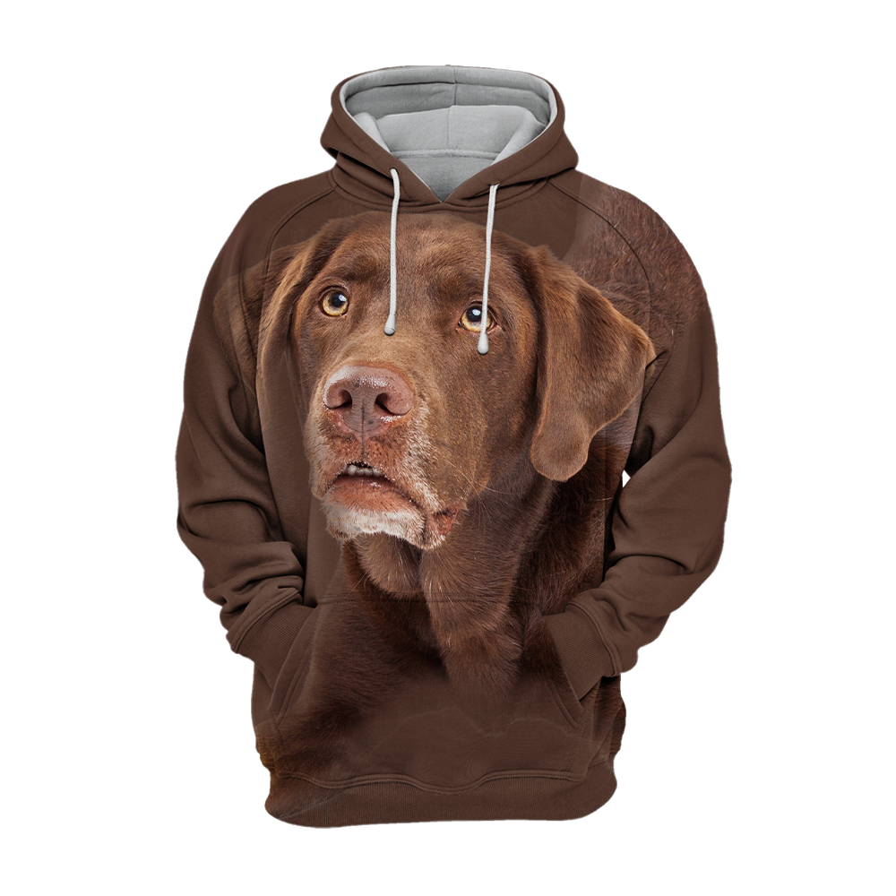 Unisex 3D Graphic Hoodies Animals Dogs Labrador Chocolate - Threadford