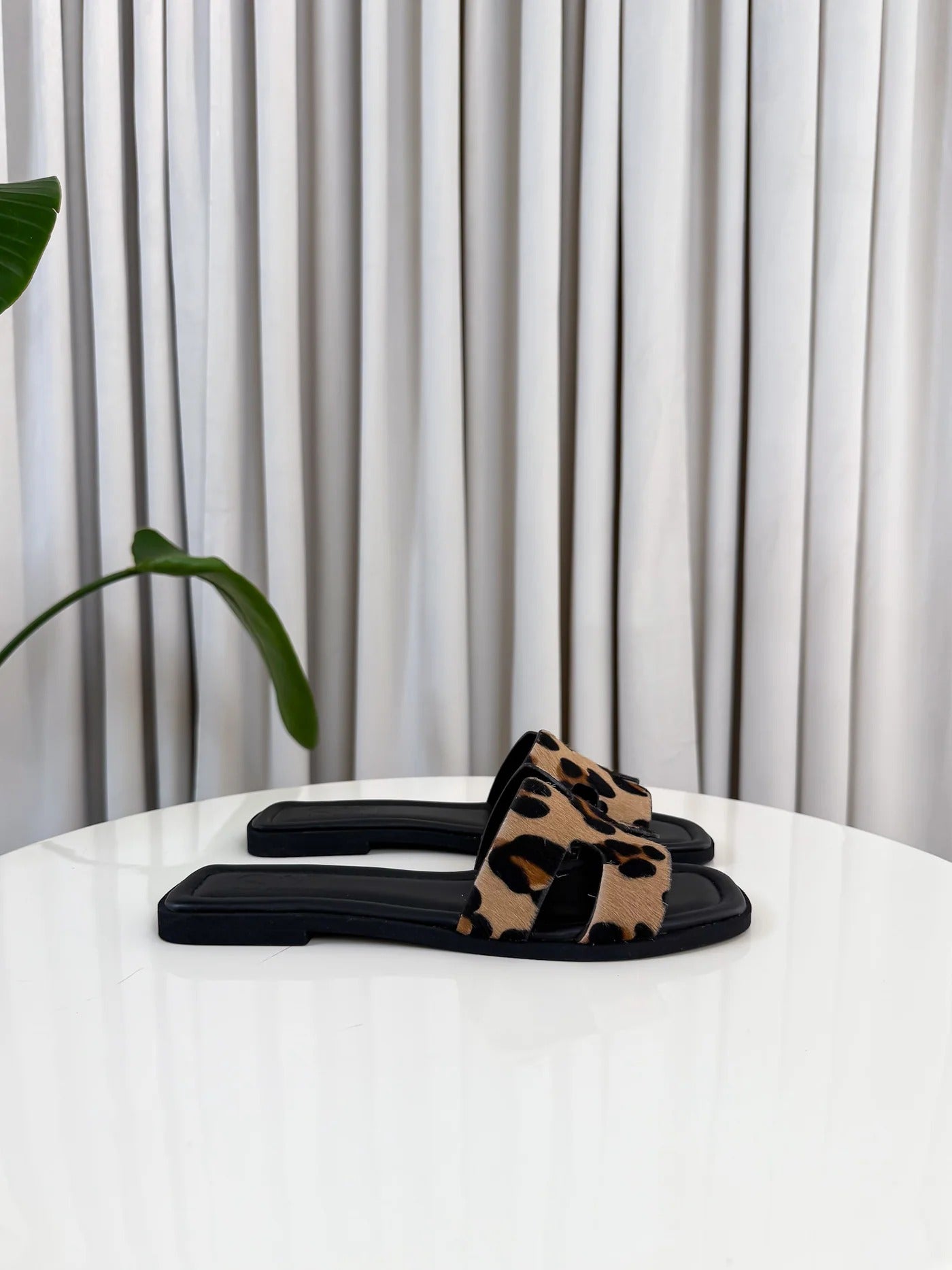 ARIS | Exclusive Limited Edition - Threadford