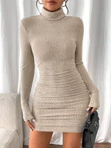 Allison | Women's Ribbed Turtleneck Long Sleeve Mini Dress