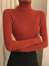 Tatiana | Simple Ribbed Turtleneck Sweater