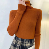 Tatiana | Simple Ribbed Turtleneck Sweater