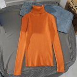 Tatiana | Simple Ribbed Turtleneck Sweater