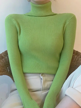 Tatiana | Simple Ribbed Turtleneck Sweater