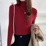 Tatiana | Simple Ribbed Turtleneck Sweater
