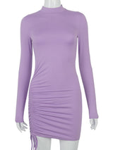 Ursina | Elegant Ruched Turtleneck Bodycon Dress