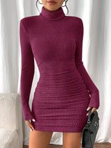 Allison | Women's Ribbed Turtleneck Long Sleeve Mini Dress