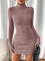Allison | Women's Ribbed Turtleneck Long Sleeve Mini Dress