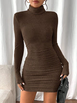 Allison | Women's Ribbed Turtleneck Long Sleeve Mini Dress
