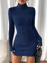 Allison | Women's Ribbed Turtleneck Long Sleeve Mini Dress