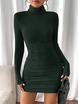 Allison | Women's Ribbed Turtleneck Long Sleeve Mini Dress