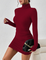 Allison | Women's Ribbed Turtleneck Long Sleeve Mini Dress
