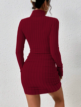 Allison | Women's Ribbed Turtleneck Long Sleeve Mini Dress