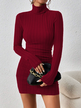 Allison | Women's Ribbed Turtleneck Long Sleeve Mini Dress