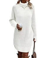 Elodie | Autumnal Knit Dress with Roll Neck