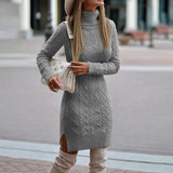Camille | Textured Turtleneck Knit Midi Dress