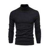 JANGSAN Merino Wool Turtleneck - Maison Sydney