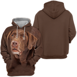 Unisex 3D Graphic Hoodies Animals Dogs Labrador Chocolate - Threadford