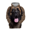 Unisex 3D Graphic Hoodies Animals Dogs Leonberger - Threadford